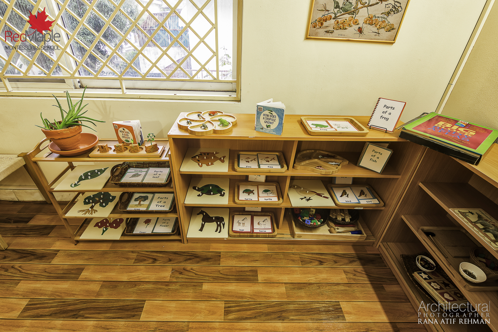 红枫蒙特梭利学校丨巴基斯坦伊斯兰堡丨RDC 建筑摄影-14