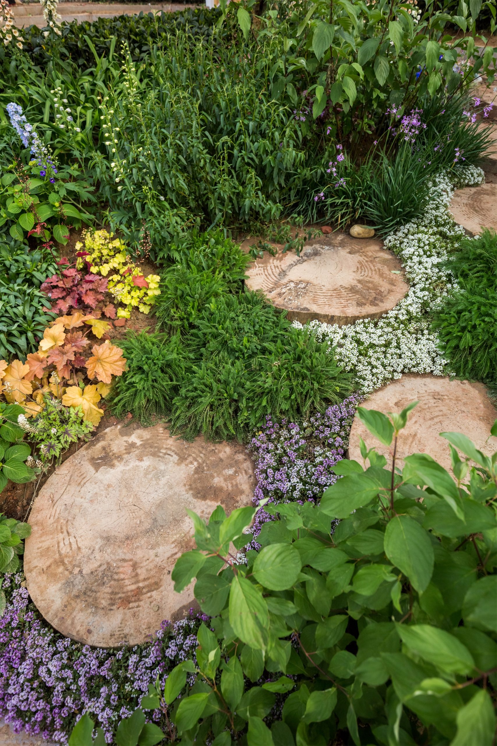 成都麓湖生态城·麓客岛丨中国成都-19