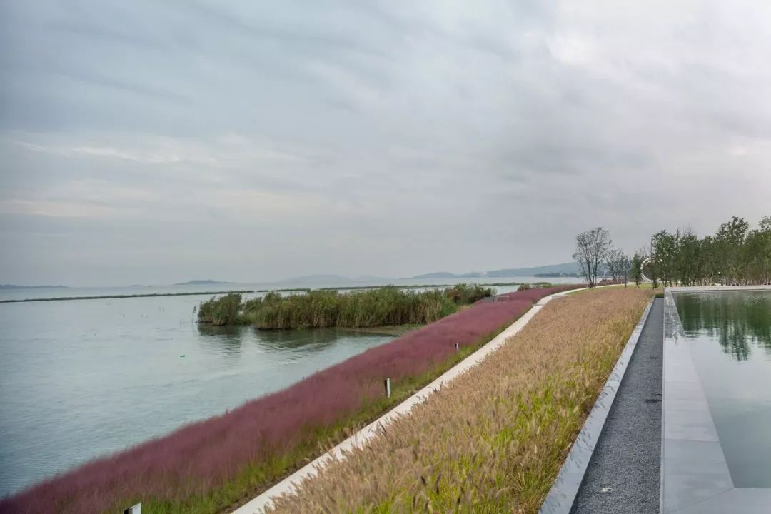 《雁归来》 | 水乡文化的现代解读-28