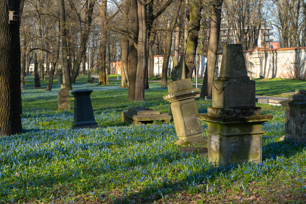 Izsludina metu konkursu Lielo kapu vērtību saglabāšanai ← FOLD-1