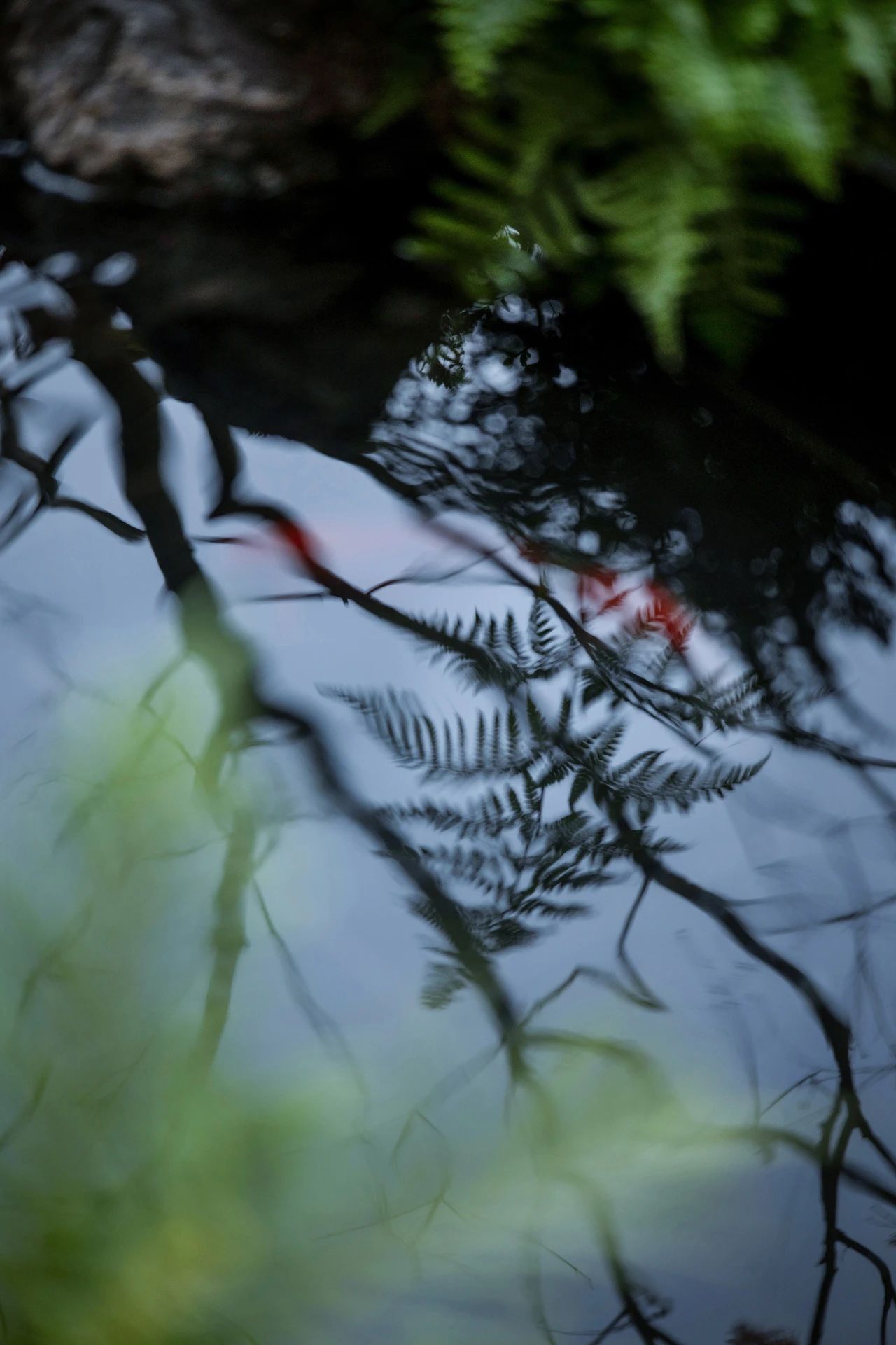 金茂璞印金开样板间丨中国重庆丨SRD DESIGN赛瑞迪普-21