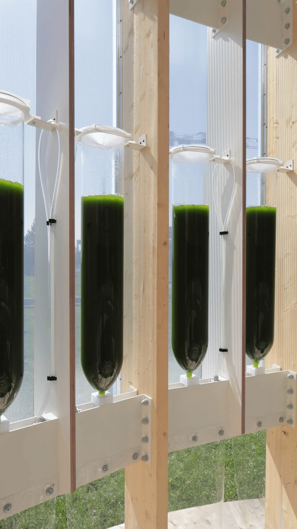 AirBubble生物科技游乐园丨波兰华沙丨ecoLogicStudio-23