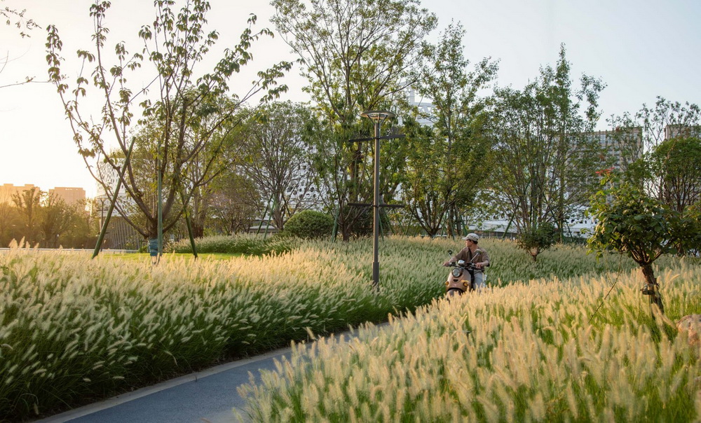 杭州运河中央公园(二期)建筑设计丨中国杭州丨ZIAD-31