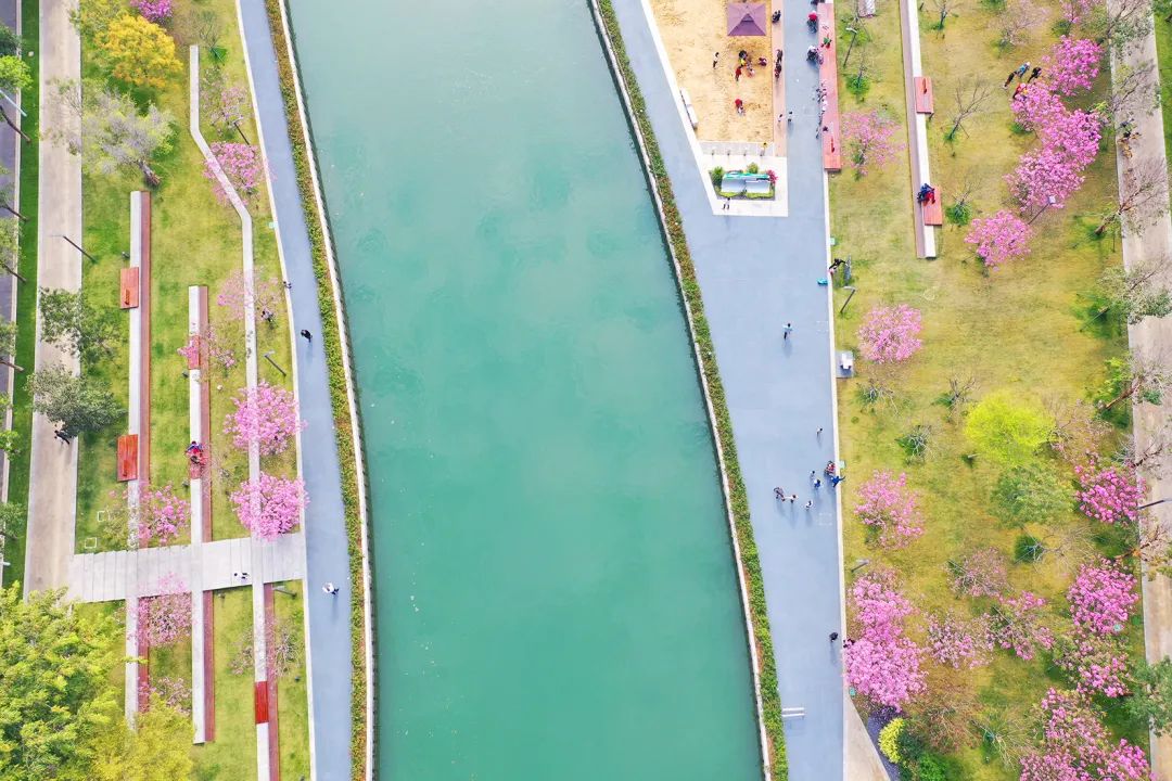 深圳中心河景观提升丨中国深圳丨深圳翰博设计股份有限公司-17