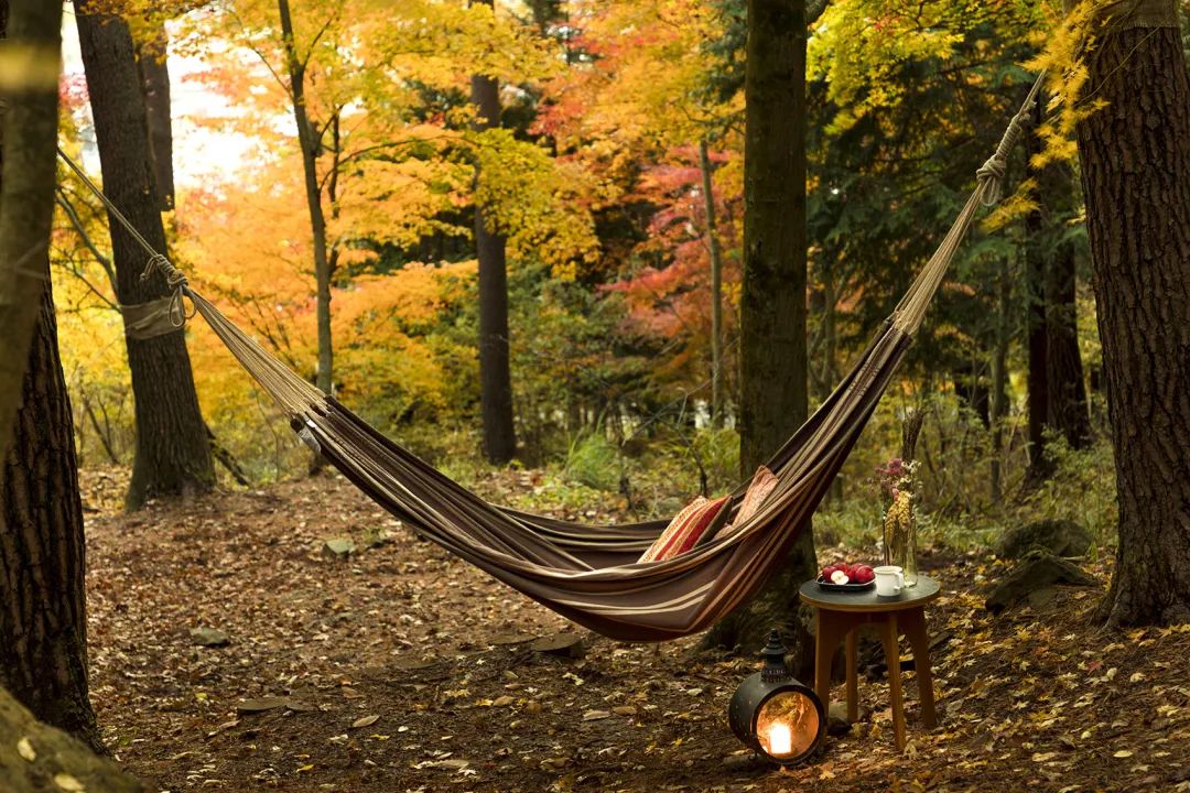 富士山“虹夕诺雅”度假酒店 | 感受自然之美-29