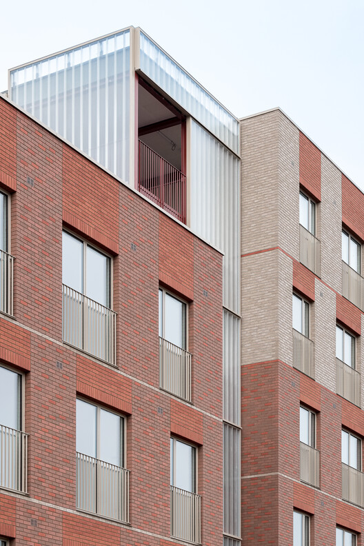 Harbard Close 住宅丨Reed Watts Architects-15