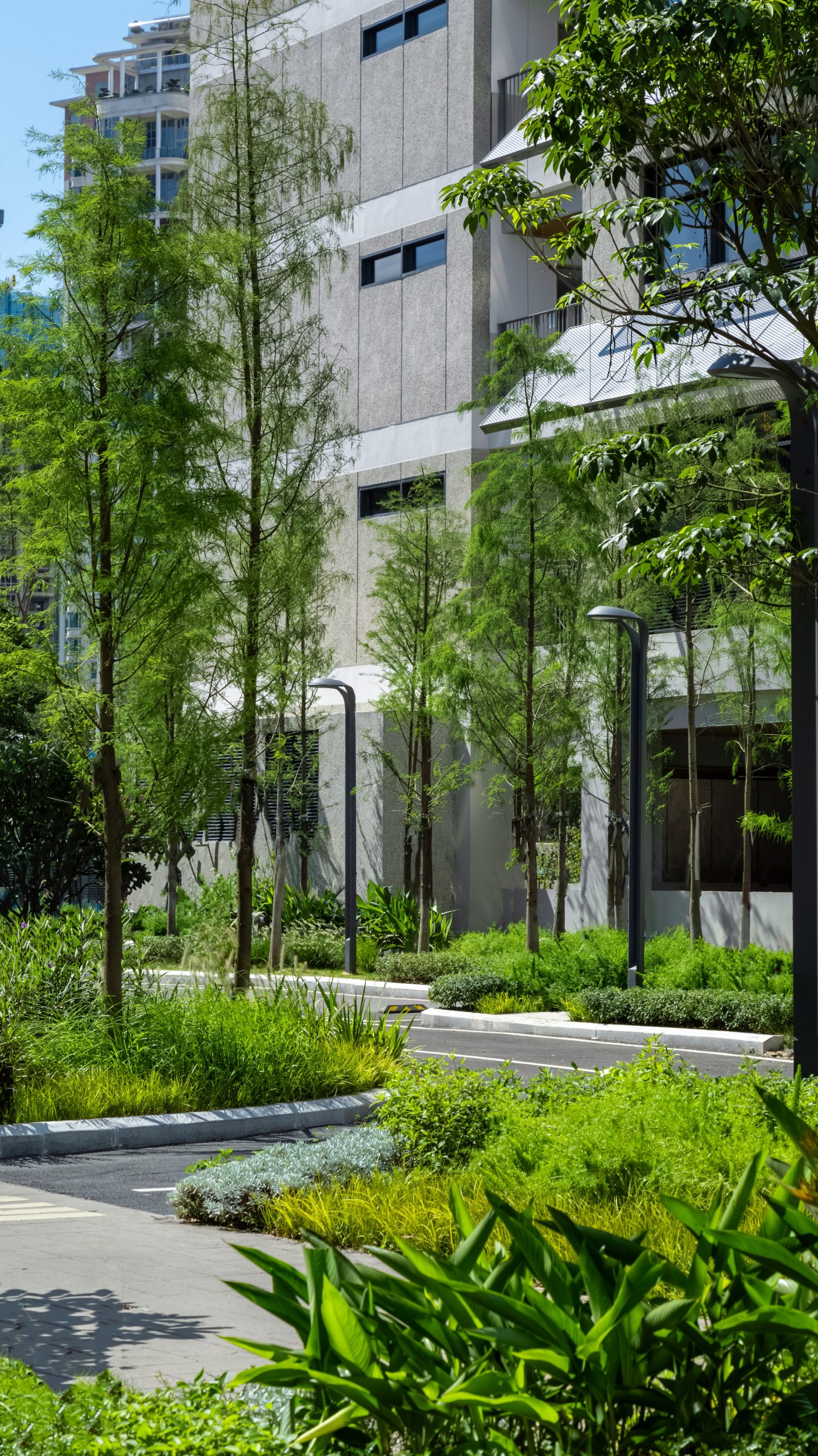 深圳市宝安中学(集团)海天学校丨中国深圳丨HILL 希尔景观-50