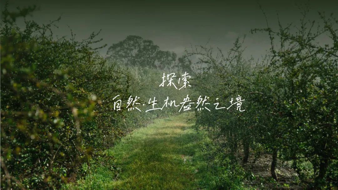 安利上海美花体验馆纽崔莱品牌体验空间丨中国上海丨Cityinno意创-12