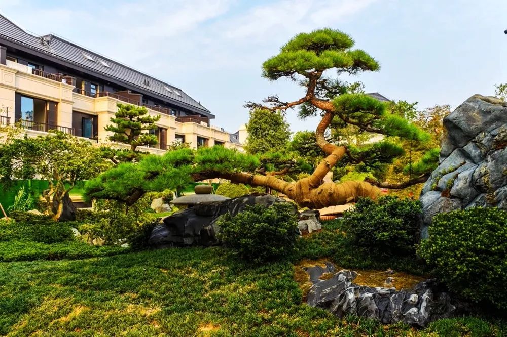 庭院设计 | 因地制宜的三大要点-14