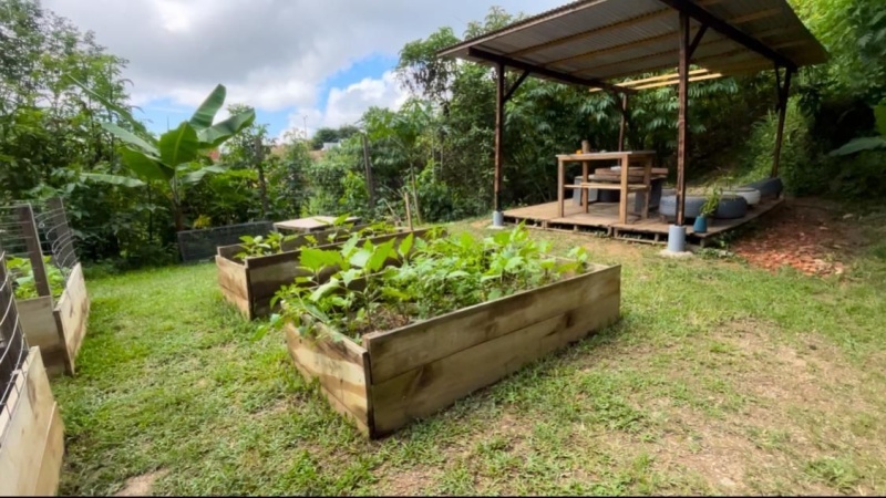 Vida Verde社区教育空间项目丨委内瑞拉加拉加斯-77