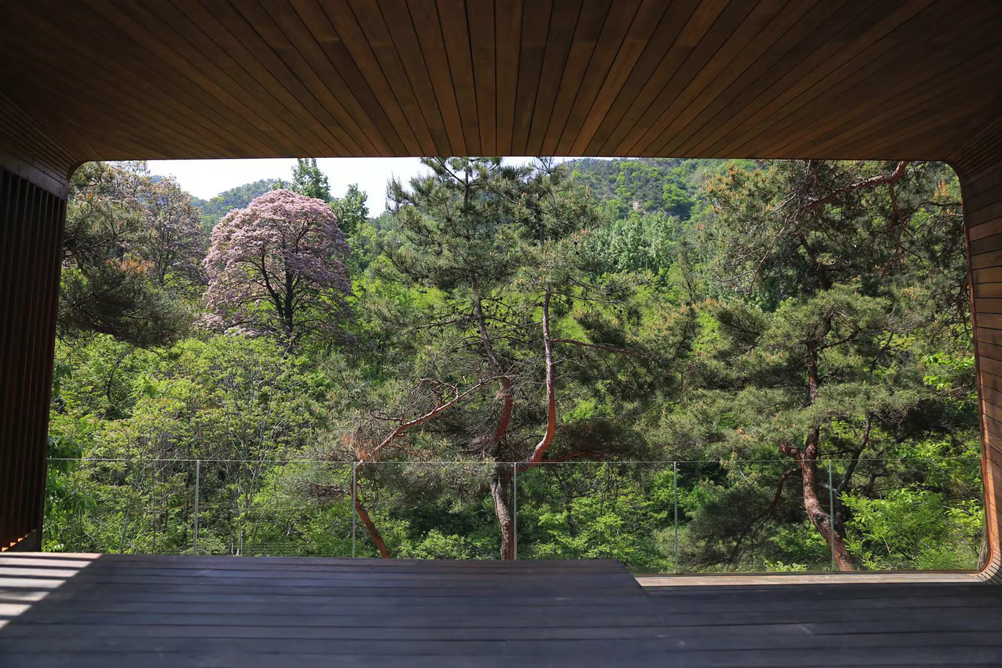 昆嵛山国家级自然保护区基础设施设计项目丨大小景观团队（Atelier Scale）-196