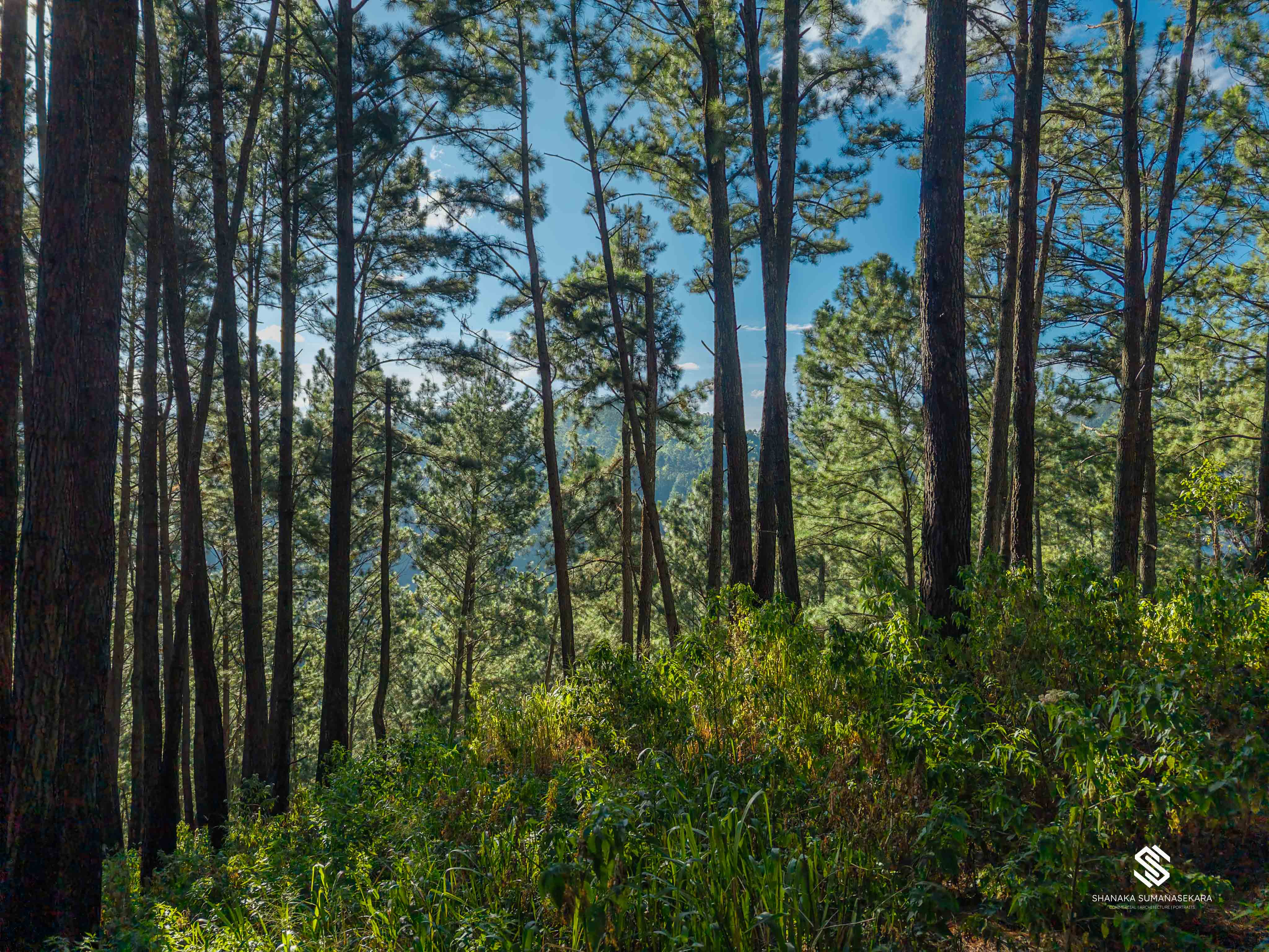 Diyathalawa- Sri Lanka Mountain Range Sky collection-8