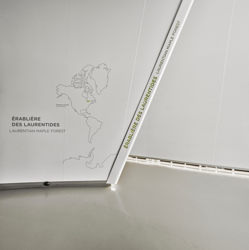 蒙特利尔生物馆改造项目丨加拿大蒙特利尔丨KANVA,与NEUF architect(e)s等合作-76