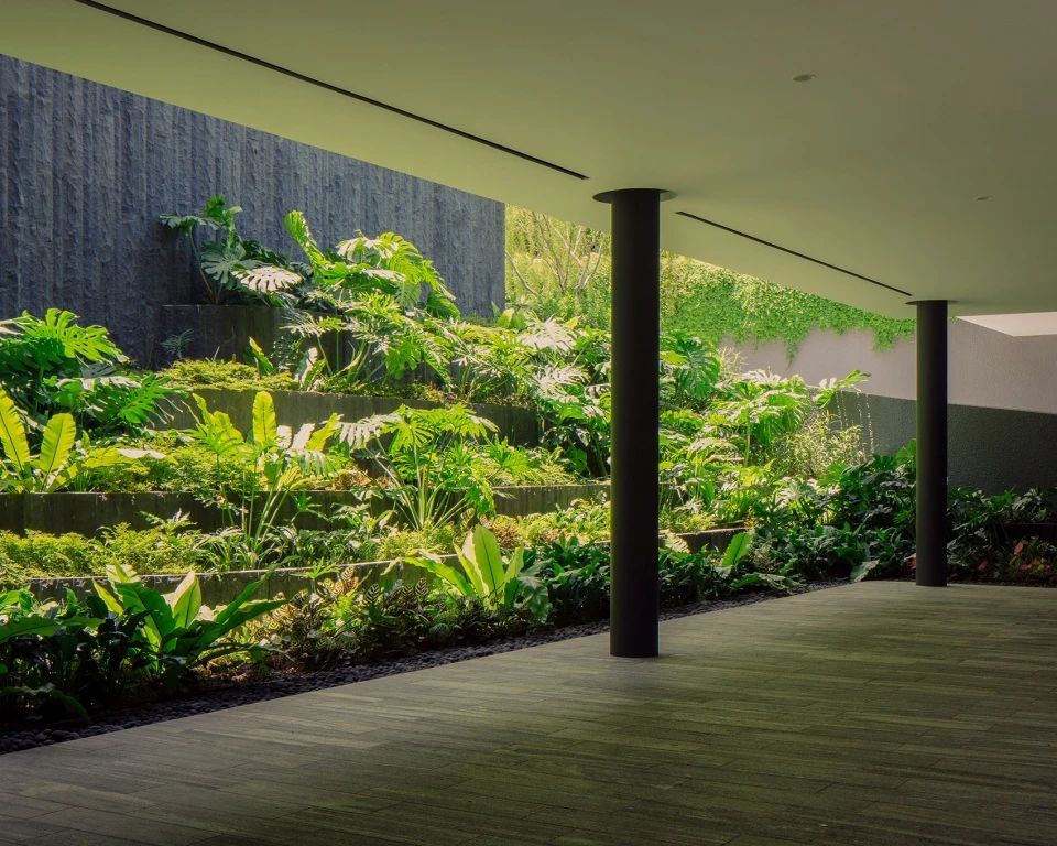 Serendipity 住宅丨新加坡丨Wallflower Architecture Design-39