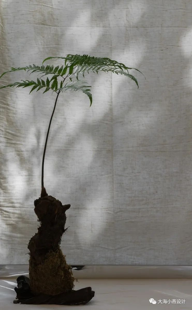 上海 70 平米办公室,竹影摇曳的“空”与“土”-55