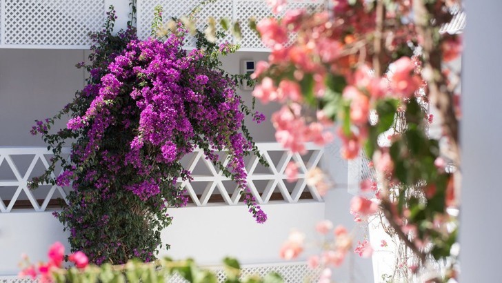 蒙特别墅农庄-8