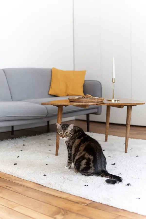 巴黎 50m²公寓的完美翻新 | 充满巴黎魅力的宜居空间-4