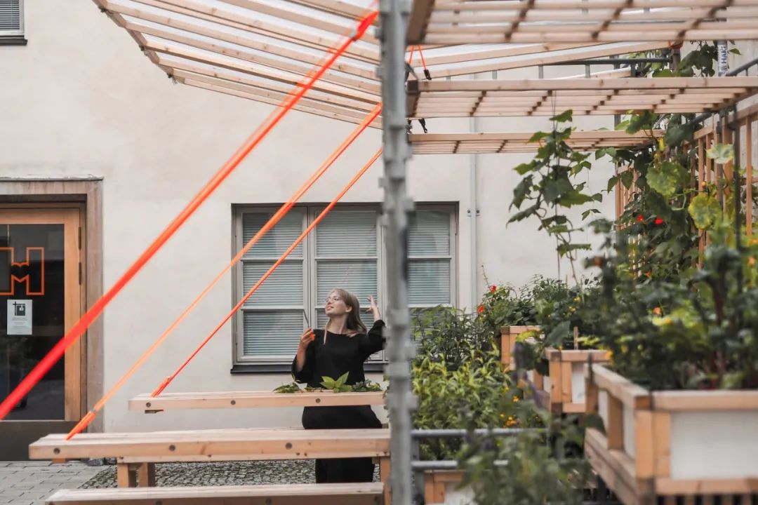 赫尔辛基城市博物馆“Kasvattamo Greenhouse”临时装置-19