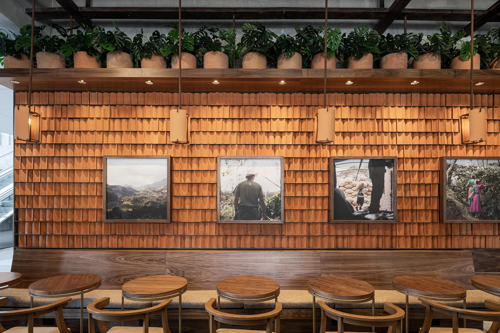 墨西哥 Kali 咖啡馆丨Concéntrico-31