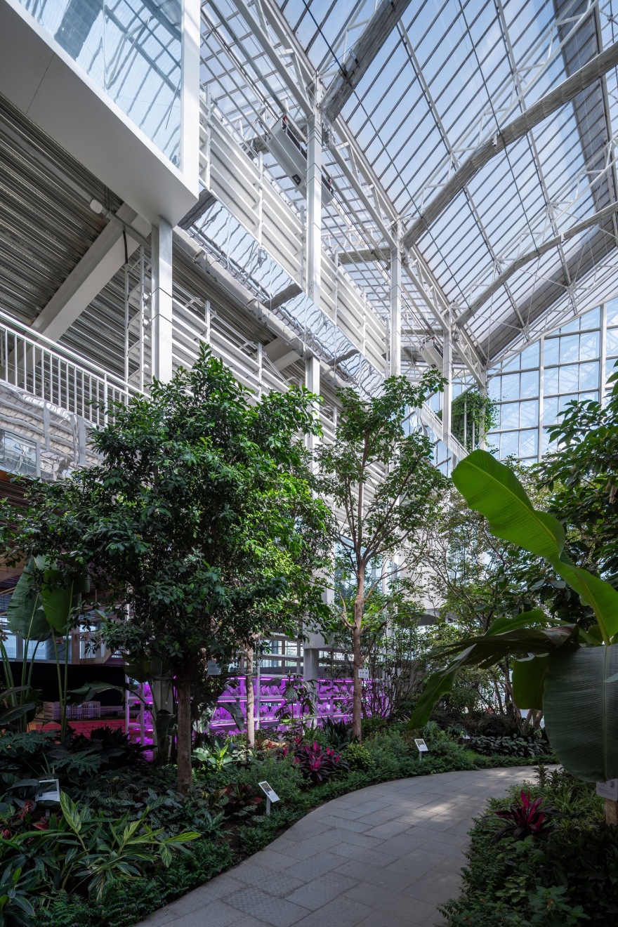 北京垂直农场丨中国北京丨van Bergen Kolpa architects-19