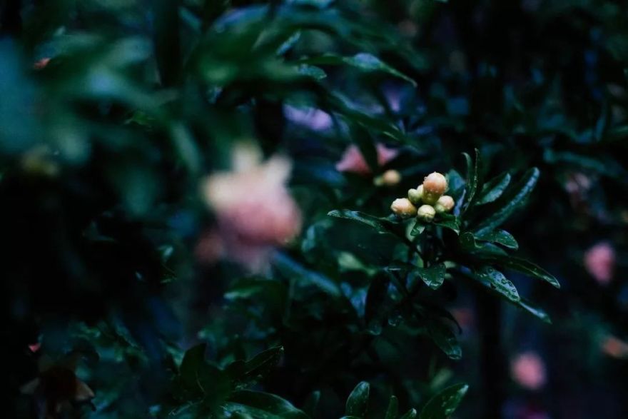 长夏清凉 | 诗意的夏日家居设计-36