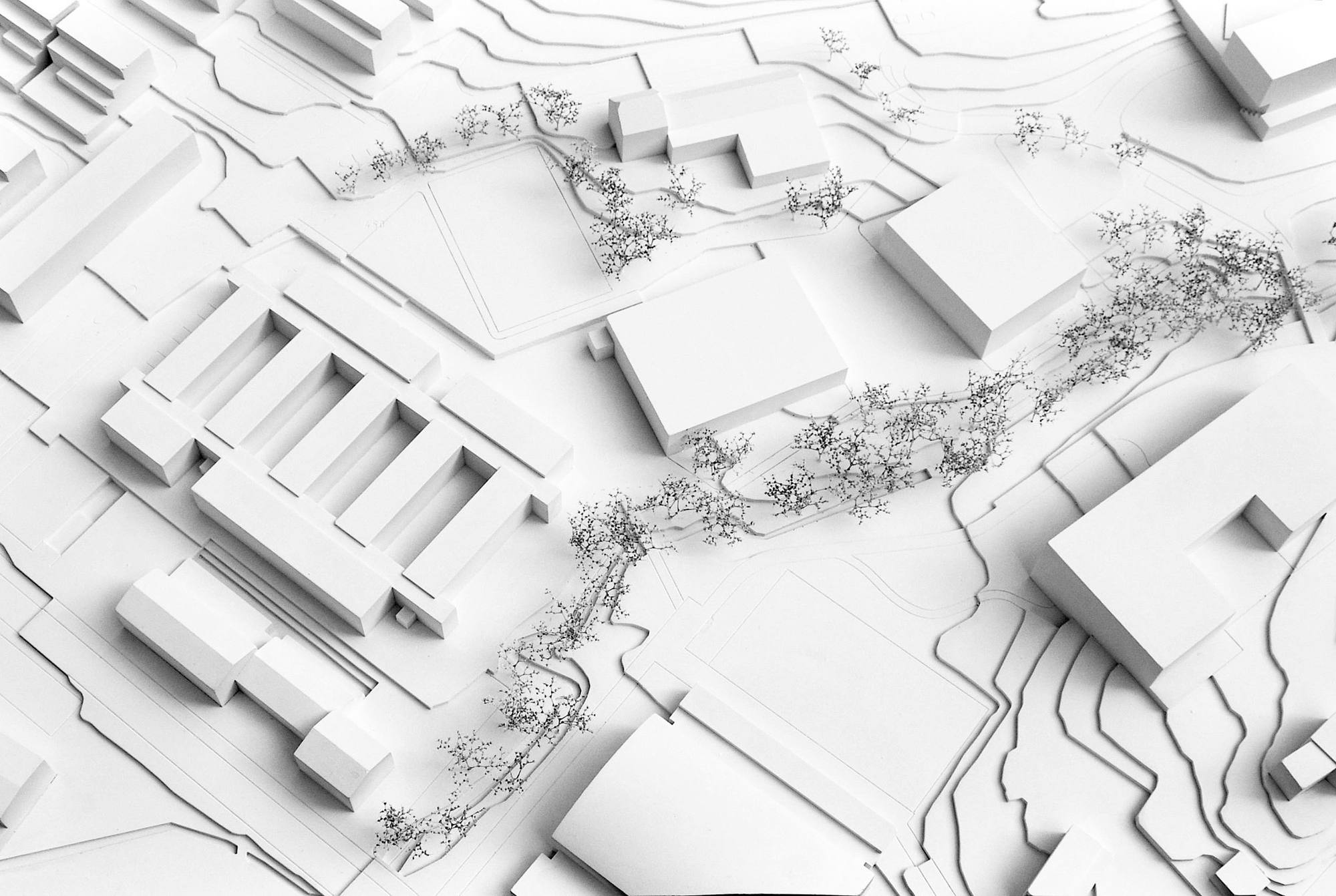 大学丨瑞士丨ahaa-39