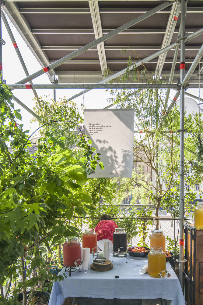 罗马尼亚蒂米什瓦拉垂直绿化奇迹-20