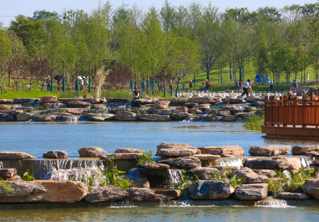 襄阳襄水岸线修复生态提升丨中国襄阳-11