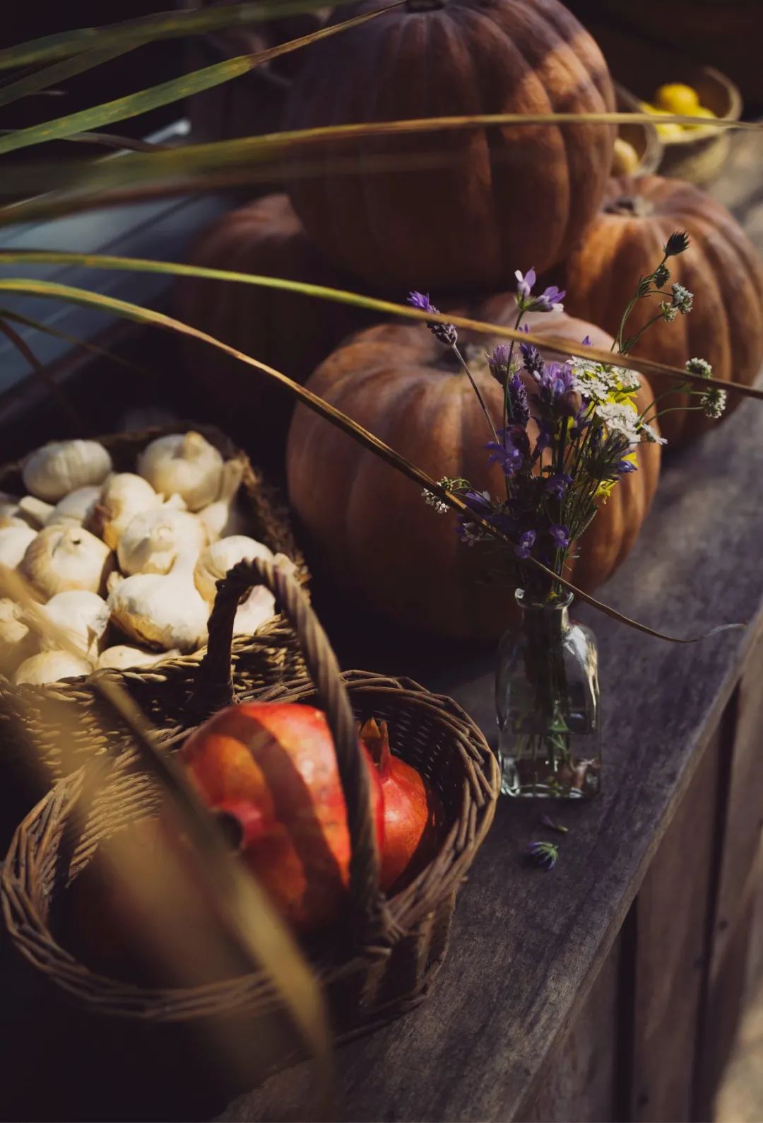 伊比沙岛自然之美 | La Granja Ibiza 农舍设计-25