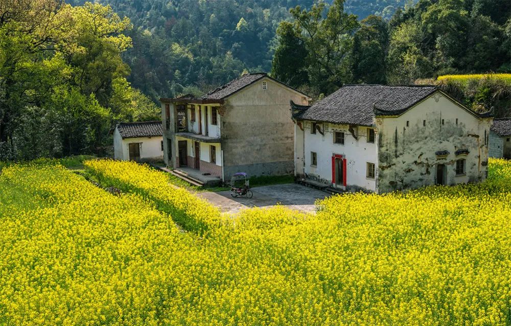 农村小院,生活的理想-69