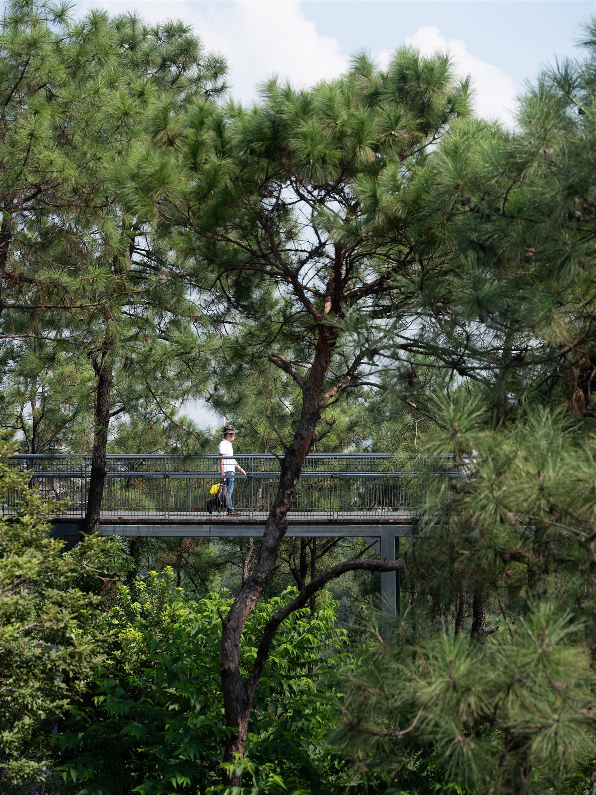 三山森林公园丨中国佛山丨SWA休斯敦工作室-46