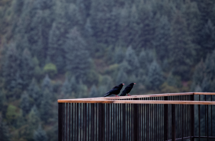 洗心院丨中国甘南丨陕西自在空间设计咨询有限公司-13