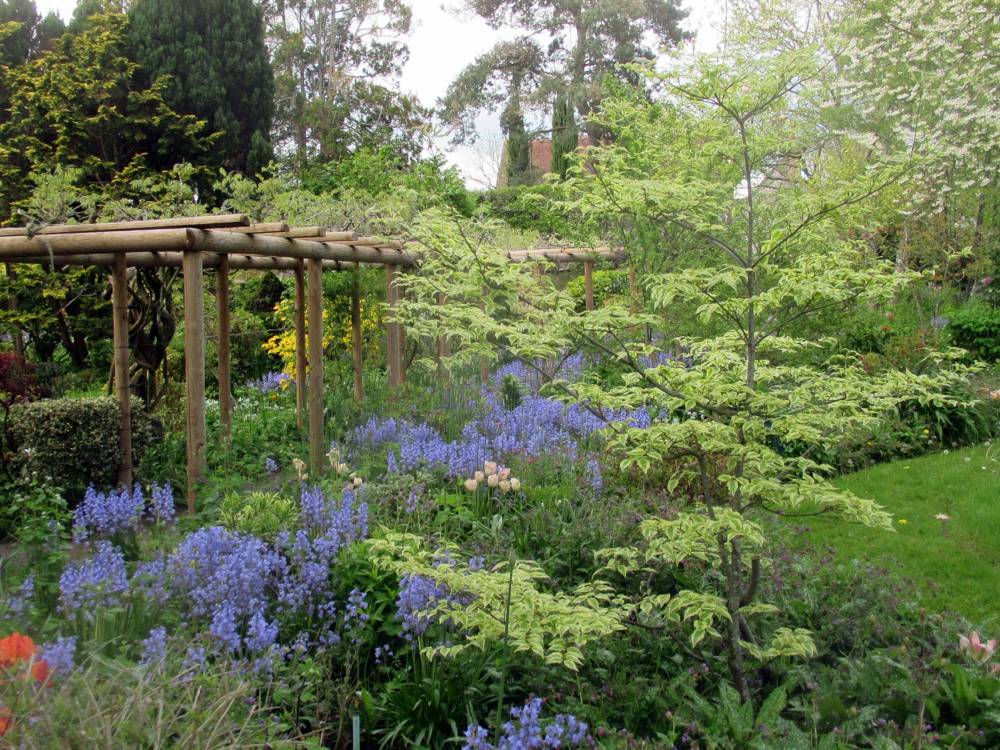 Jardin Botanique de La Petite Rochelle (61)-10