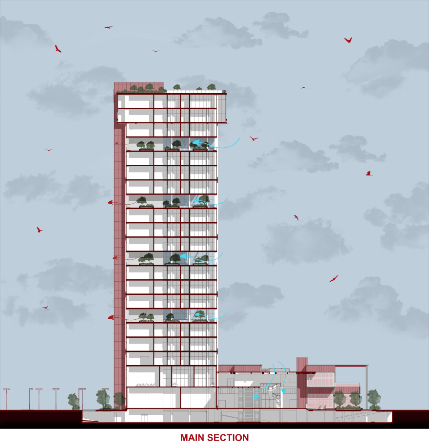 HELIX医疗研究中心丨埃及开罗-18