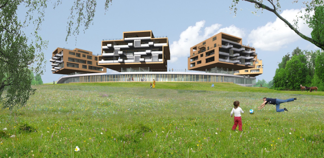 莫斯科郊区酒店及Spa综合体丨俄罗斯莫斯科丨建筑团体DNK ag-13