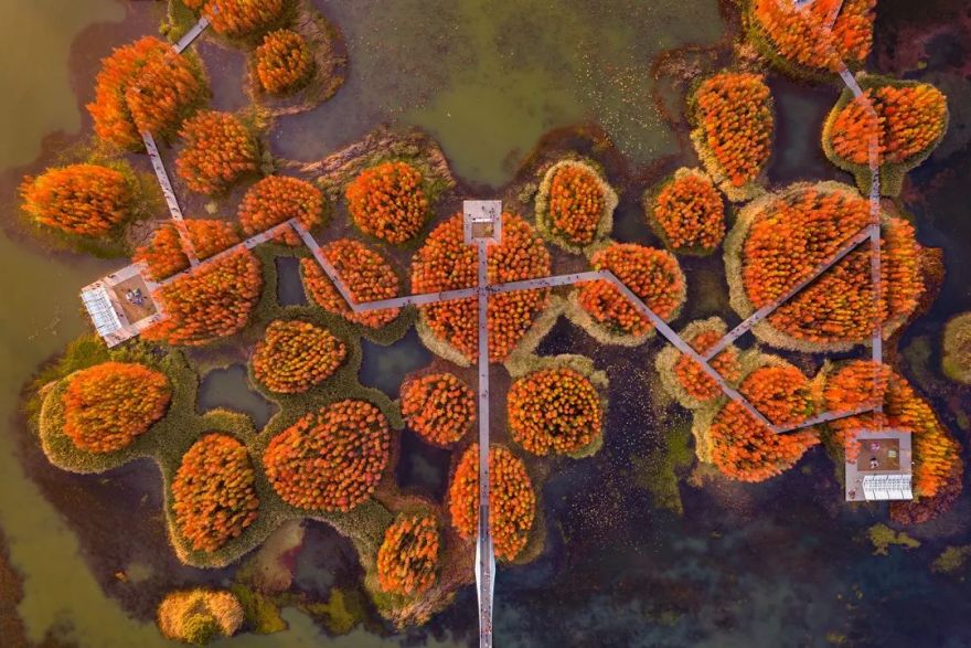 南昌鱼尾洲公园丨中国南昌丨土人设计-25