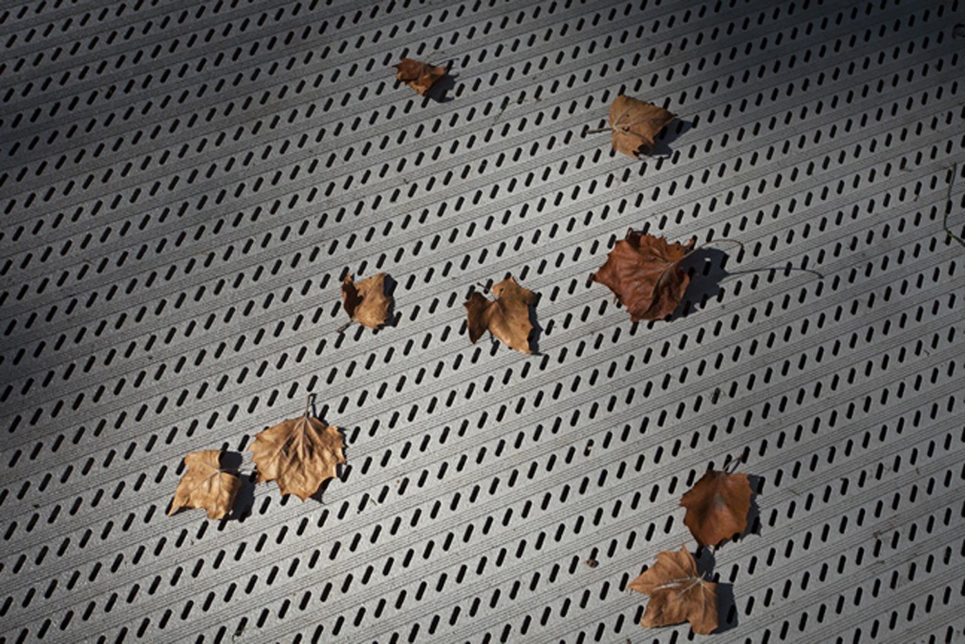 Projects - West Point Foundry Preserve  -6