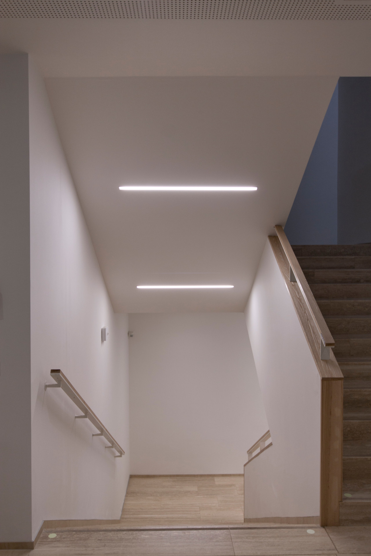      Katalog: majo architekti - Pavilon IMPAKT MFF UK
 |  EARCH.cz-73