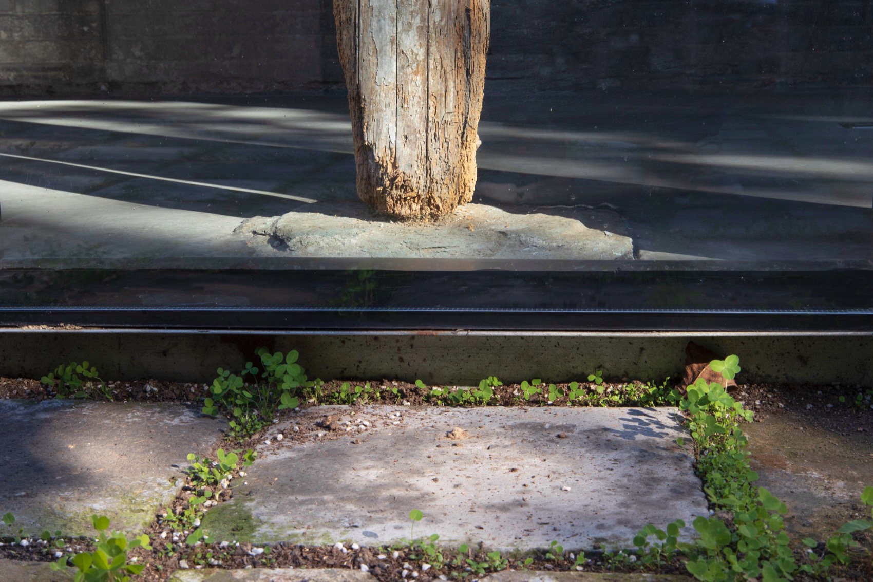 小堂12号，北京 / IARA-34