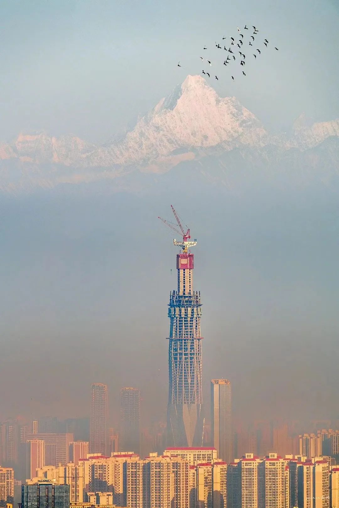 绿地蜀峰 468丨中国成都丨美国 AS+GG 建筑事务所,华东院-3