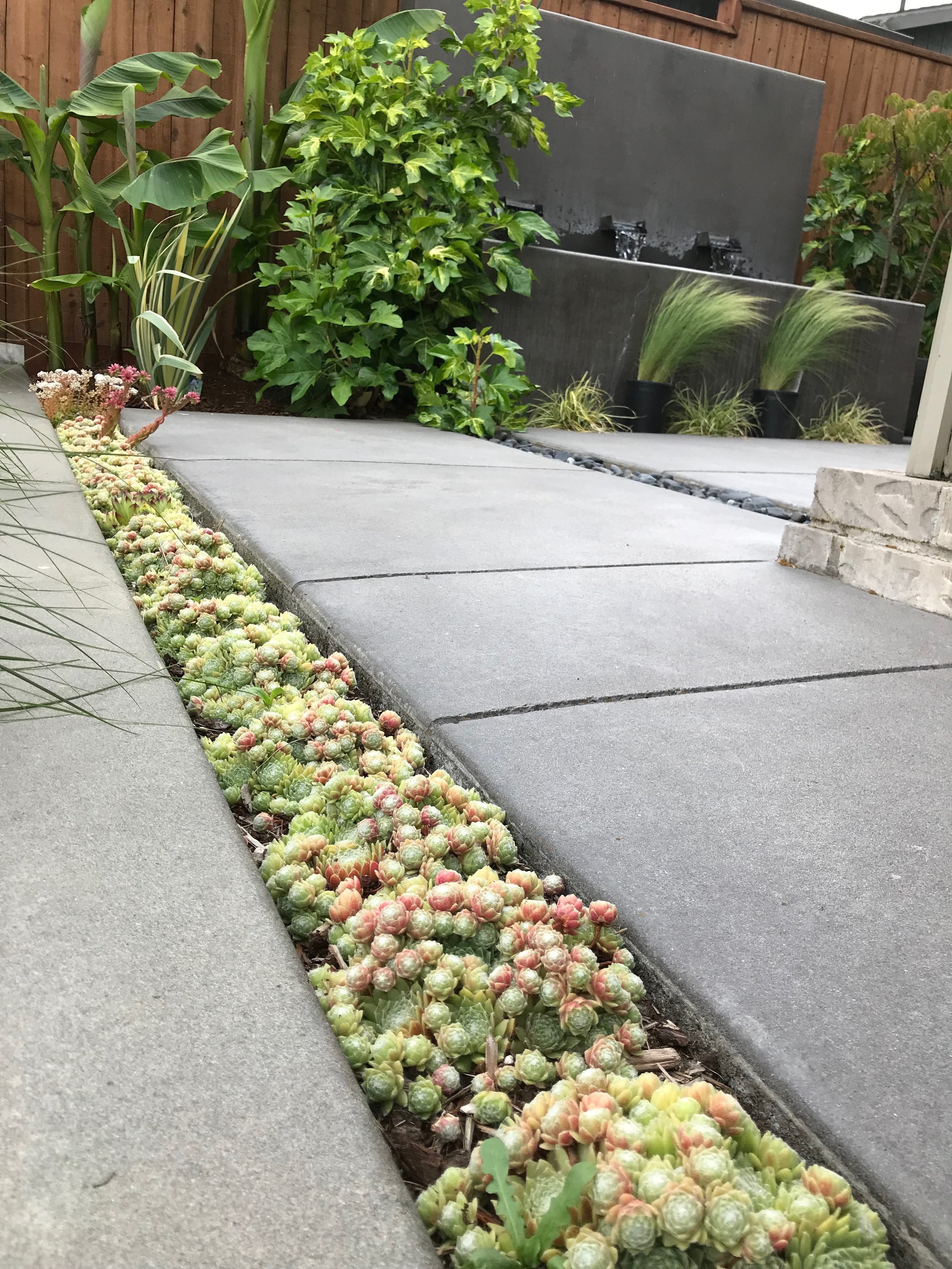 哥伦比亚城某住宅前院景观重新设计丨Alyse Lansing-8