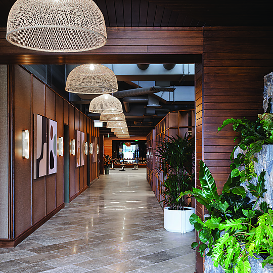 Cotton On Wellness by Greg Natale Design in colloboration with PTID | Australian Interior Design Awards-2