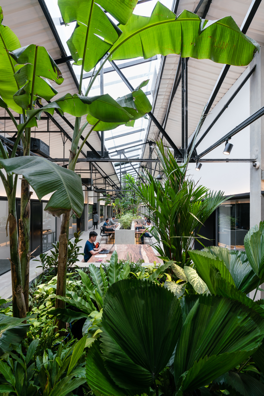 胡志明市“丛林站”共享空间-28