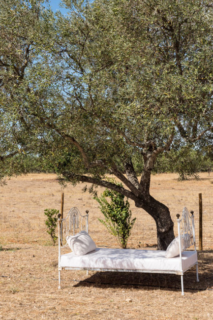 1920年旧农舍改造的葡萄牙南部小旅馆丨Atelier Rua-16