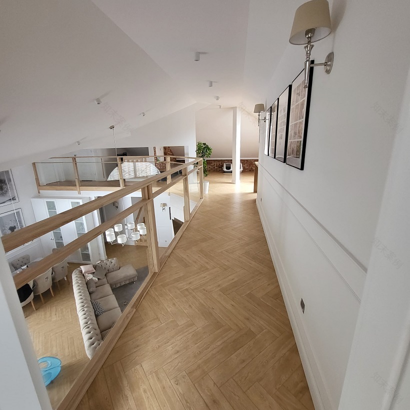 别墅项目:公园别墅6号-156