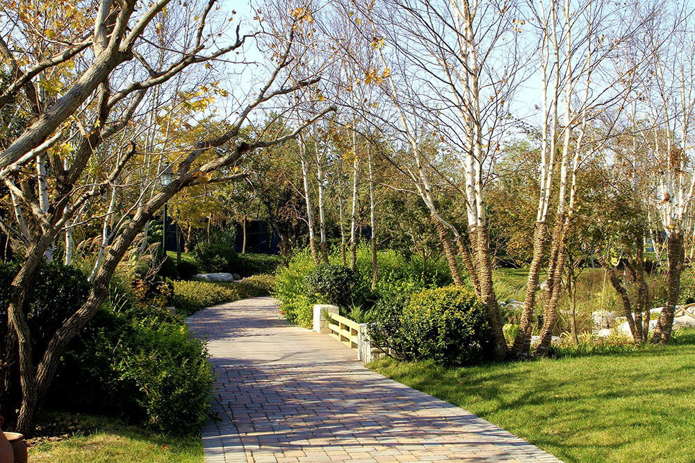 万通天竺新新家园丨中国北京丨L&A GROUP-16