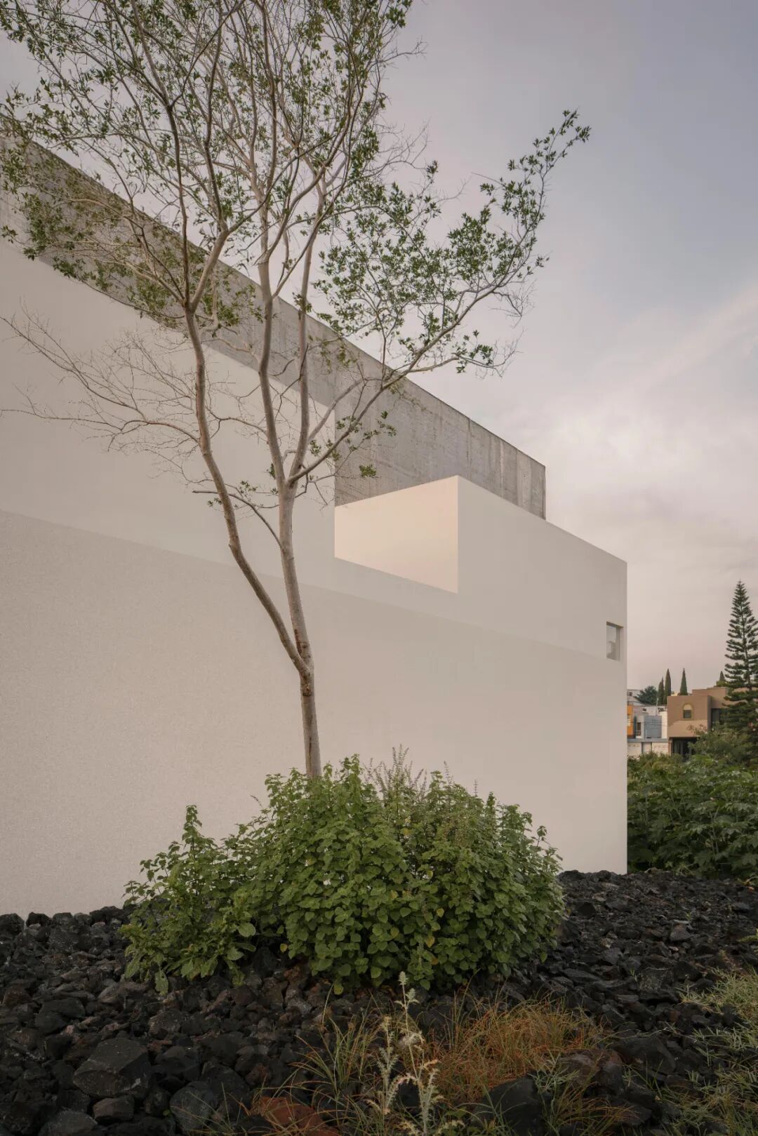 可海楼（注：Kehai可能是特定名称，若有更准确背景信息，翻译会更精准） 丨墨西哥莫雷利亚丨HW Studio-15