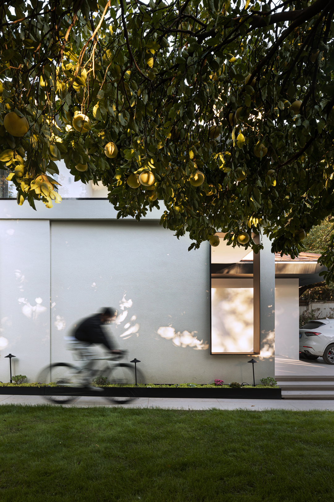 森林别墅丨中国上海丨陆颖昆设计-10