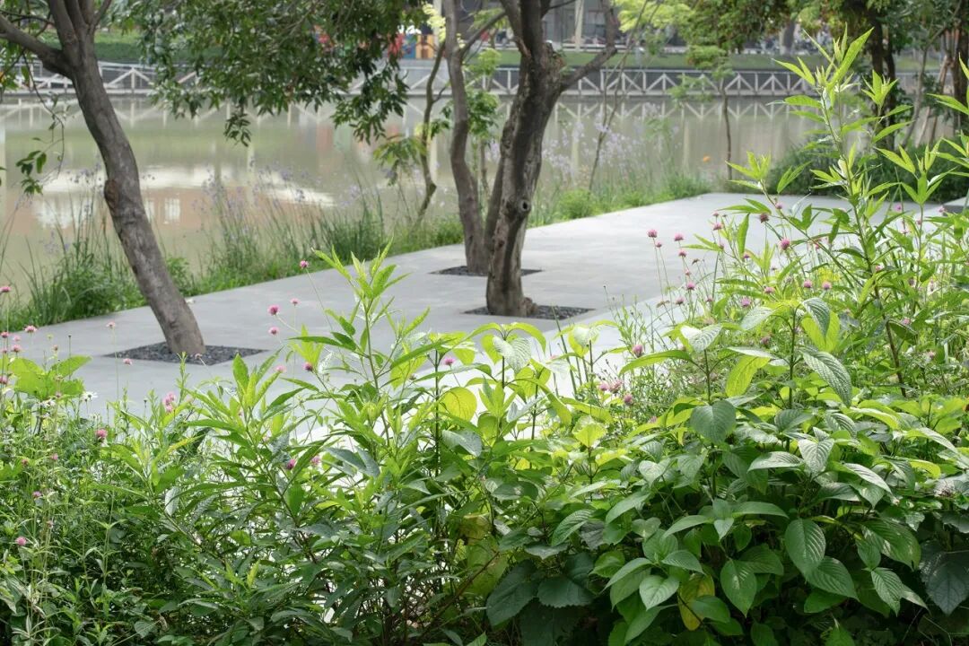 续写亚运荣光，激活滨水新篇|广州亚运公园-56