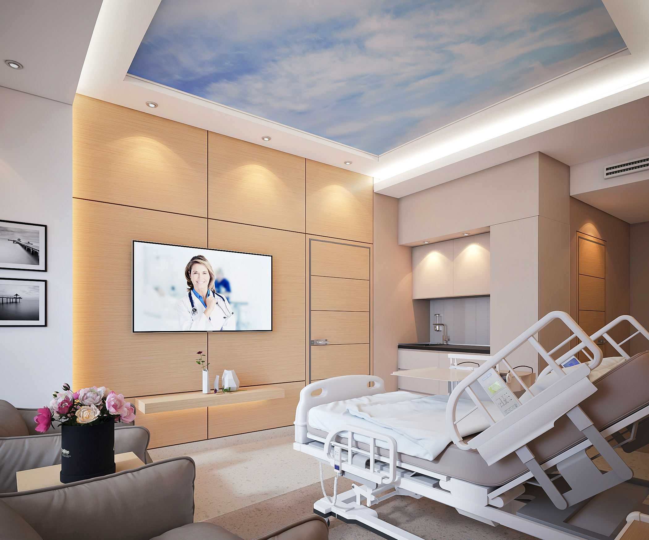 Luxury Hospital Suite Room-1